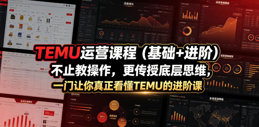 TEMU运营课程（基础+进阶），不止教操作，更传授底层思维，一门让你真正看懂TEMU的进阶课-课程网