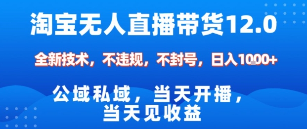 淘宝无人直播12.0，公域私域技术，不封号，不违规布局双十一流量风口，日入1k（独家技术）【揭秘】-课程网