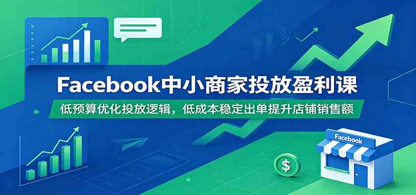 Facebook中小商家投放盈利课：低预算优化投放逻辑，低成本稳定出单提升店铺销售额-课程网