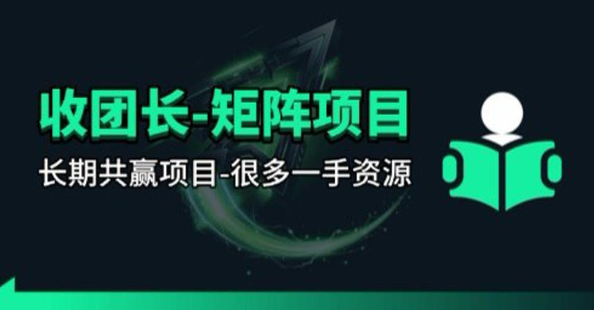 【团长合作】视频矩阵项目_招发手矩阵+剪辑师，共赢项目【揭秘】-课程网