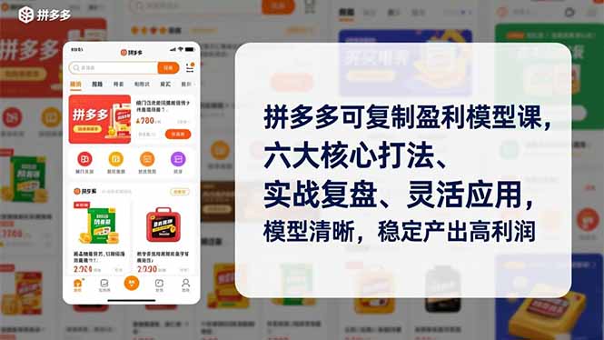 拼多多可复制盈利模型课，六大核心打法、实战复盘、灵活应用，模型清晰，稳定产出高利润-课程网