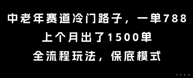 中老年赛道冷门路子，一单788，上个月出了1500单，全流程玩法，保底模式【揭秘】-课程网