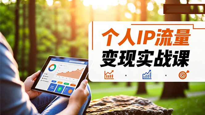 个人IP流量变现实战课，涵盖多平台引流、打造个人IP并实现稳定流量变现-课程网