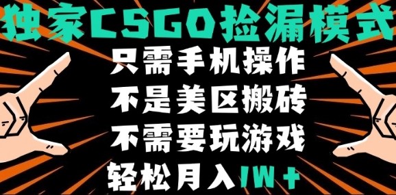 CSGO自动捡漏项目，最新独家玩法，不是美区搬砖，不需要了解和玩游戏，新手小白轻松月入1W+【揭秘】-课程网
