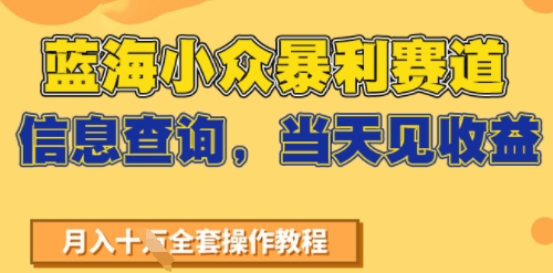 蓝海小众暴利赛道，信息查询，当天见收益，不讲玄学，7天搞了2W+-课程网