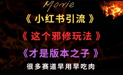 最近小红书引流这个邪修玩法才是版本之子，很多赛道早用早吃肉-课程网