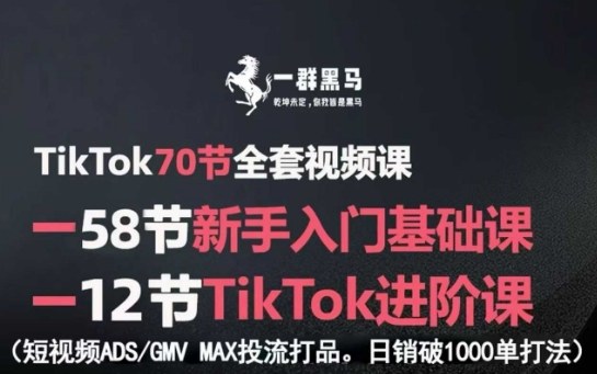 TikTok全套视频课，新手入门+进阶课，短视频ADS-GMV MAX投流打品，日销破1000单打法-课程网