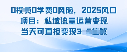 0学费0风险，2025风口项目：私域流量运营变现，当天可直接变现-课程网