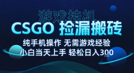 8月最新游戏搬砖，CSGO纯挂G，不需要玩游戏，实现真挂G，月入1W+【揭秘】-课程网