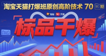 淘宝天猫打爆班原创高阶技术第70期：标品干爆-课程网