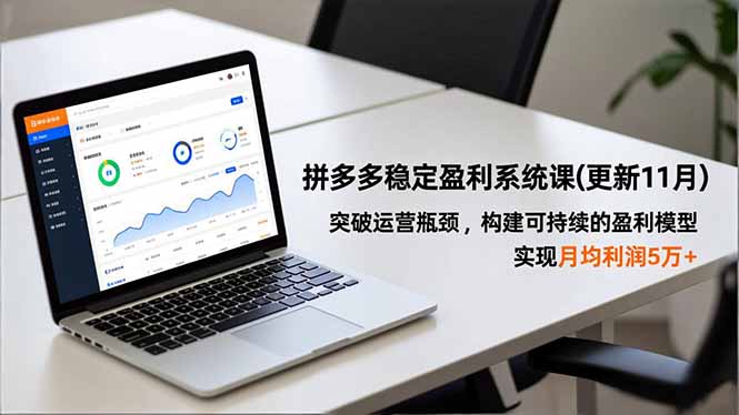 拼多多稳定盈利系统课(更新11月-课程网