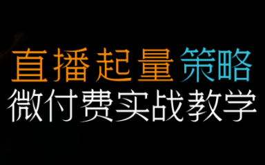 半野老师·直播带货起量与微付费必学课视频号-课程网