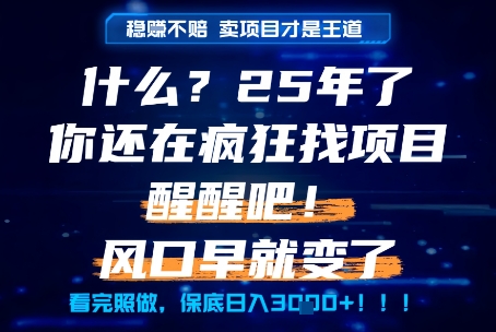 什么？25年你还在疯狂找项目做，醒醒吧，看完这些你全都懂了！【揭秘】-课程网
