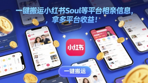 一键搬运小红书Soul等平台相亲信息，拿多平台收益!-课程网