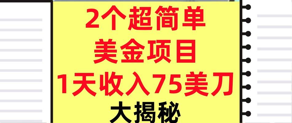 2个超简单美金项目，1天收入75美刀，3分钟学会，内部教程（大揭秘）-课程网