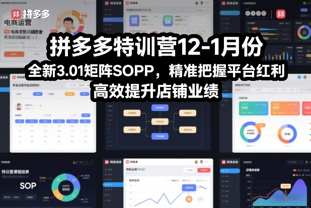 拼多多特训营12-1月份，全新3.01矩阵Sop，精准把握平台红利，高效提升店铺业绩-课程网