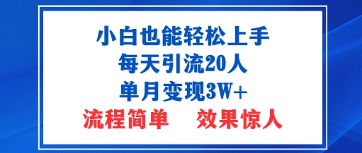 小白也能轻松上手的宝妈项目，每天引流20人，单月变现3W+，流程简单，效果惊人-课程网