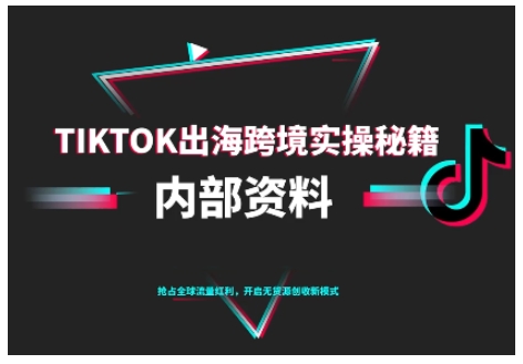TikTok跨境电商0-1搭建运营，TK出海跨境实操秘籍（10月更新）-课程网