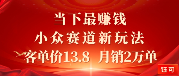 当下最挣钱的小众赛道 小红书新玩法10个作品涨粉3W，客单价13.8 月销2W单-课程网