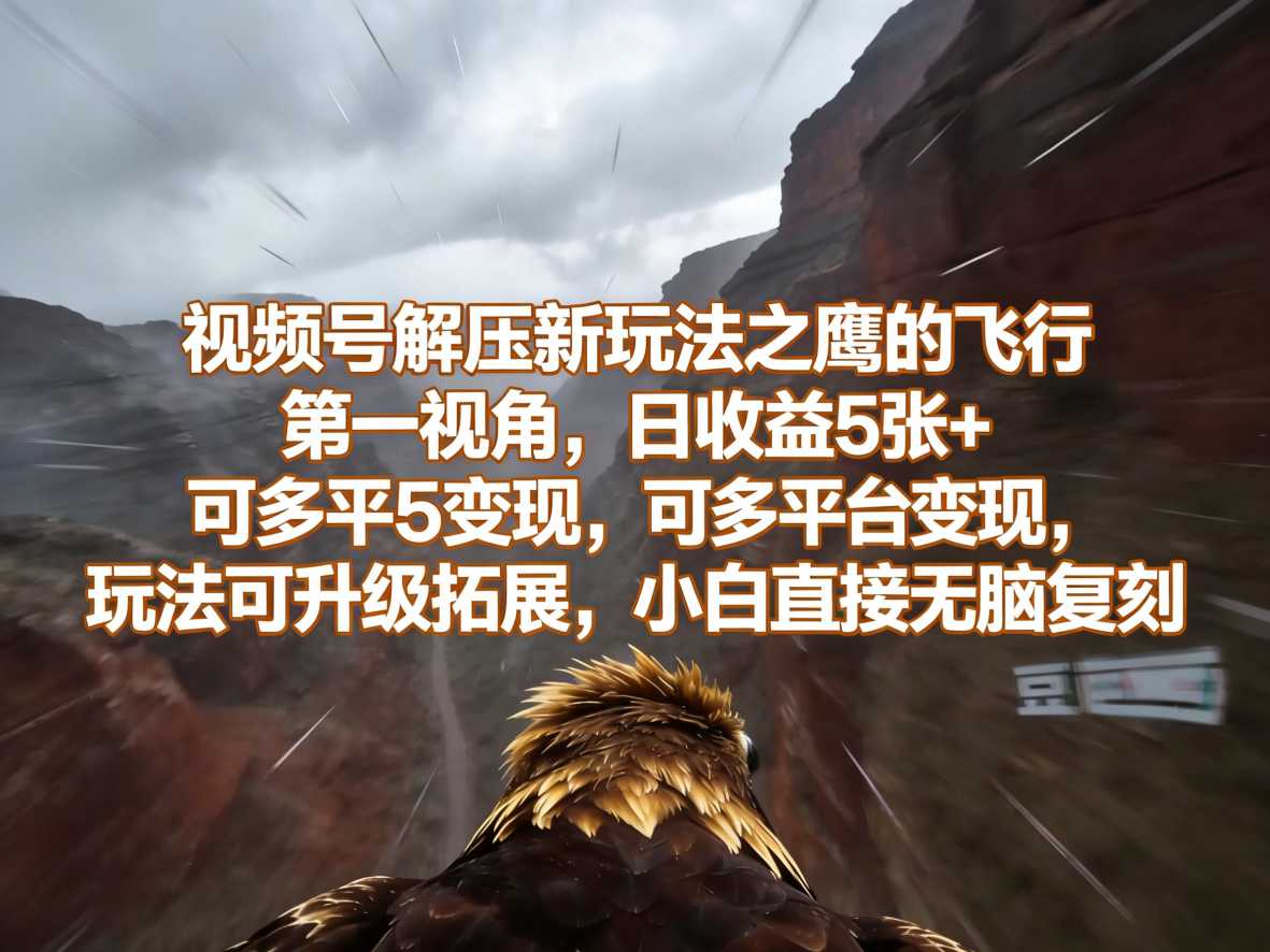 视频号解压新玩法之鹰的飞行第一视角，日收益5张+，可多平台变现，玩法可升级拓展，小白直接无脑复刻-课程网