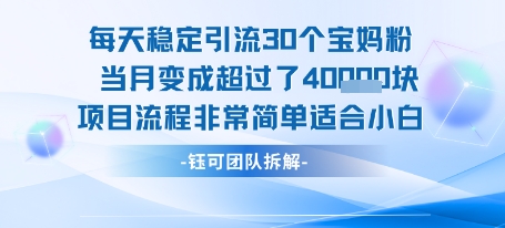 每天稳定引流30个人 当月变成超过了4个W项目流程非常简单适合小白-课程网