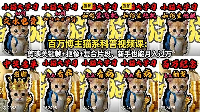 （18595期）百万博主猫系科普视频课：剪映关键帧+抠像+复合片段，新手也能月入过万-课程网