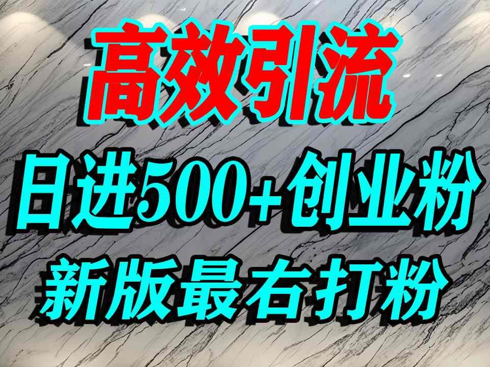 最右打创业粉，百分之九十九同行都不知道的空白蓝海，单人日引500+精准流量-课程网