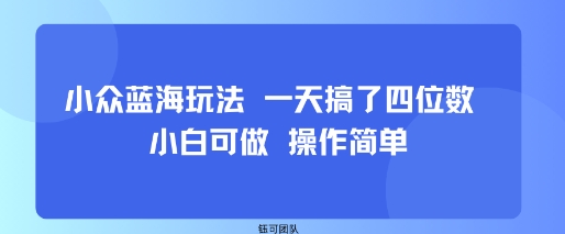小众蓝海玩法 一天搞了四位数 小白可做 操作简单-课程网