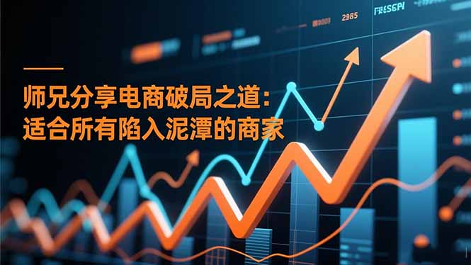 师兄分享电商破局之道：适合所有陷入泥潭的商家-课程网
