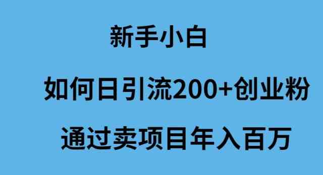 （9668期）新手小白如何日引流200+创业粉通过卖项目年入百万-课程网
