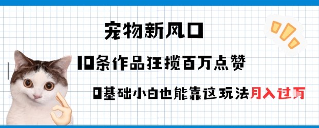 宠物粉暴利新风口0基础小白也能靠这套玩法月入过W-课程网