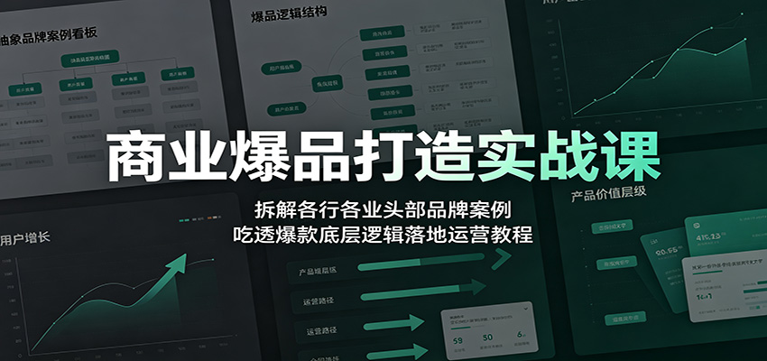 商业爆品打造实战课：拆解各行各业头部品牌案例，吃透爆款底层逻辑落地运营教程-课程网