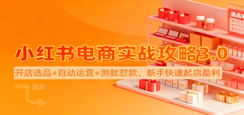 小红书电商实战攻略3.0：开店选品+自动运营+测款怼款，新手快速起店盈利-课程网